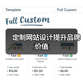 定制网站设计提升品牌价值(图4) 定制网站设计提升品牌价值(图4)