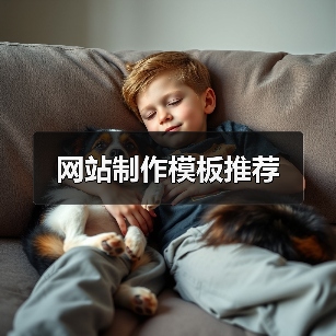 网站制作模板推荐（图1）