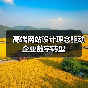 高端网站设计理念驱动企业数字转型（图2）