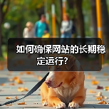如何确保网站的长期稳定运行？（图3）