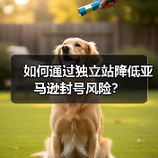 如何通过独立站降低亚马逊封号风险？（图2）