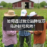 如何通过独立站降低亚马逊封号风险？（图4）