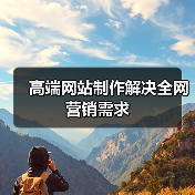 高端网站制作解决全网营销需求（图2）