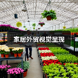 家居外贸视觉呈现（图1）