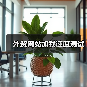外贸网站加载速度测试（图3）