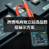 跨境电商独立站选品数据展示方案(图2) 跨境电商独立站选品数据展示方案(图2)