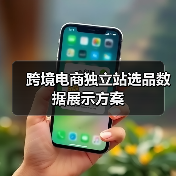 跨境电商独立站选品数据展示方案(图3) 跨境电商独立站选品数据展示方案(图3)
