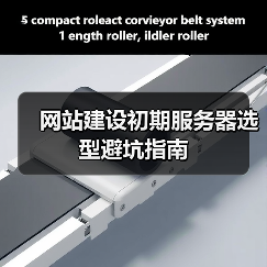 网站建设初期服务器选型避坑指南（图2）