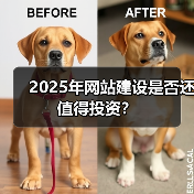 2025年网站建设是否还值得投资？（图2）