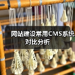 网站建设常用CMS系统对比分析（图3）