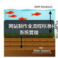 网站制作全流程标准化系统管理（图4）