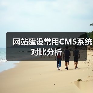 网站建设常用CMS系统对比分析（图1）