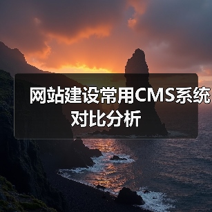 网站建设常用CMS系统对比分析（图2）
