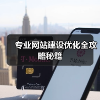 专业网站建设优化全攻略秘籍（图3）