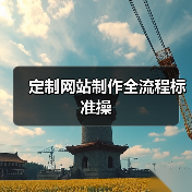 定制网站制作全流程标准操（图3）