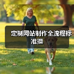 定制网站制作全流程标准操