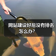 网站建设好后没有排名怎么办？（图2）