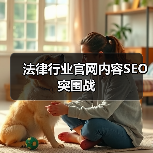 法律行业官网内容SEO突围战(图4) 法律行业官网内容SEO突围战(图4)