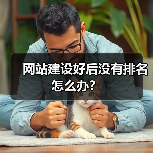 网站建设好后没有排名怎么办？（图3）