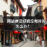 网站建设好后没有排名怎么办？（图4）