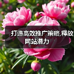 打造高效推广策略,释放网站潜力(图2) 打造高效推广策略,释放网站潜力(图2)