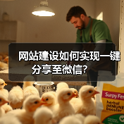 网站建设如何实现一键分享至微信?(图3) 网站建设如何实现一键分享至微信?(图3)