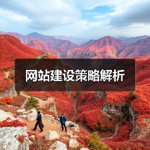 网站建设策略解析（图1）