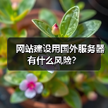 网站建设用国外服务器有什么风险？（图3）