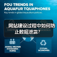 网站建设过程中如何防止数据泄露？（图2）
