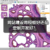 网站建设用模板好还是定制开发好?(图1) 网站建设用模板好还是定制开发好?(图1)