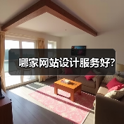 哪家网站设计服务好?(图3) 哪家网站设计服务好?(图3)