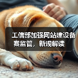 工信部加强网站建设备案监管，新规解读（图3）