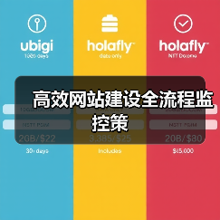 高效网站建设全流程监控策（图4）