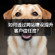 如何通过网站建设提升客户信任度？（图1）