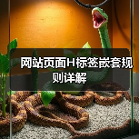 网站页面H标签嵌套规则详解（图3）