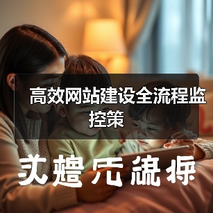 高效网站建设全流程监控策（图2）