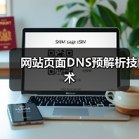 网站页面DNS预解析技术（图2）