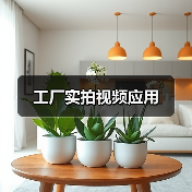 工厂实拍视频应用（图2）