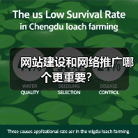 网站建设和网络推广哪个更重要？（图3）