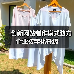 创新网站制作模式助力企业数字化升级（图3）
