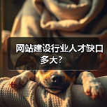 网站建设行业人才缺口多大？（图2）