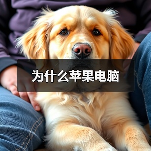 为什么苹果电脑（图2）