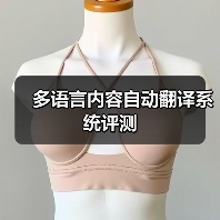 多语言内容自动翻译系统评测（图1）
