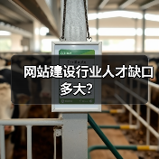 网站建设行业人才缺口多大？（图3）