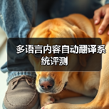 多语言内容自动翻译系统评测（图4）