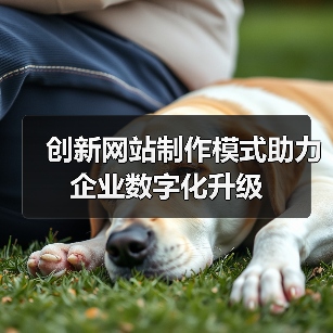 创新网站制作模式助力企业数字化升级（图4）