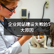 企业网站建设失败的5大原因（图2）