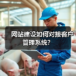 网站建设如何对接客户管理系统?(图4) 网站建设如何对接客户管理系统?(图4)
