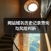 网站域名历史记录查询与风险判断（图3）