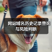 网站域名历史记录查询与风险判断（图2）